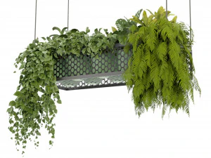 Collection Plant Vol 347 - Blender Model 3D Model