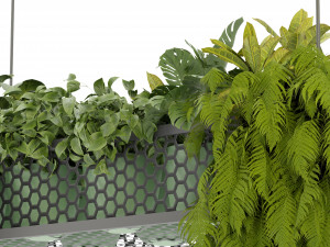 Collection Plant Vol 347 - Blender Model Model 3D