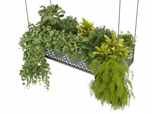 Collection Plant Vol 347 - Blender Model Model 3D