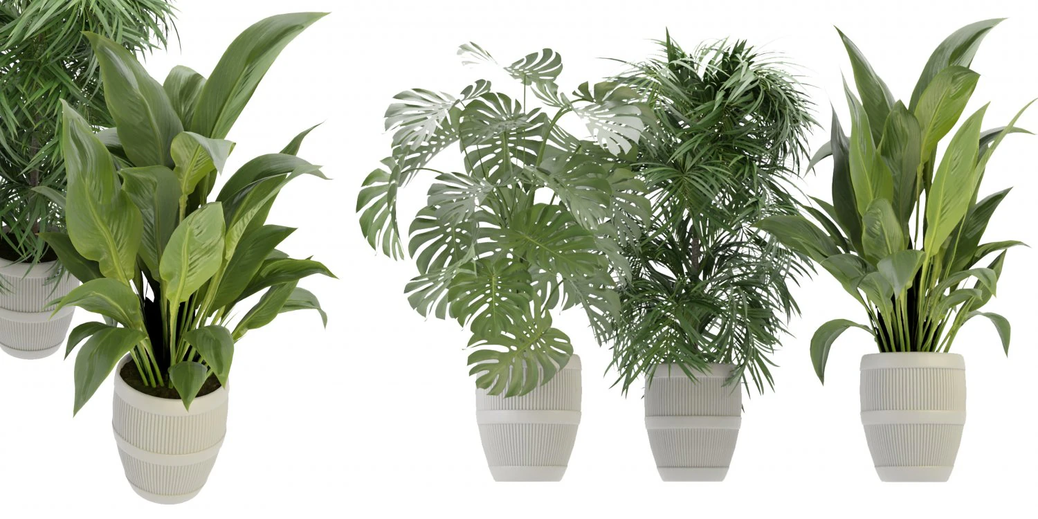 Collection Plant Vol 348 - Blender Model 3D Model .c4d .max .obj .3ds .fbx .stl .blend
