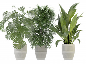 Collection Plant Vol 348 - Blender Model Model 3D