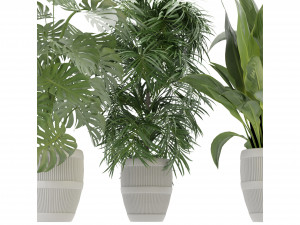 Collection Plant Vol 348 - Blender Model Model 3D