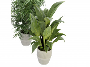 Collection Plant Vol 348 - Blender Model Model 3D
