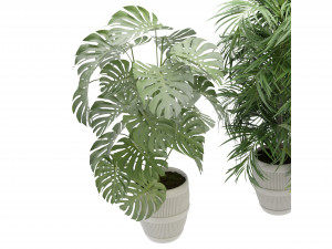 Collection Plant Vol 348 - Blender Model Model 3D