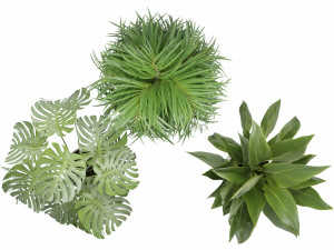 Collection Plant Vol 348 - Blender Model Model 3D