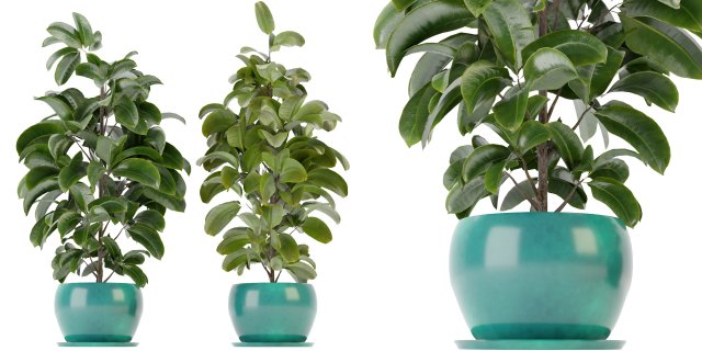 Collection Plant Vol 349 - Blender Model 3D Model .c4d .max .obj .3ds .fbx .stl .blend 