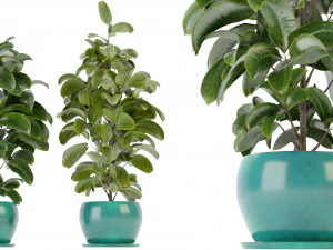 Collection Plant Vol 349 &ndash; Blender-Modell 3D Modell