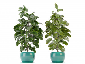 Collection Plant Vol 349 - Blender Model 3D Model