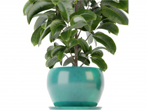 Collection Plant Vol 349 - Blender Model 3D Model