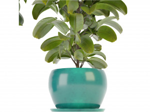 Collection Plant Vol 349 - Blender Model 3D Model