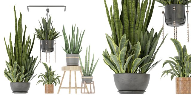 Collection Plant Vol 352- Blender Model Model 3D .c4d .max .obj .3ds .fbx .stl .blend 