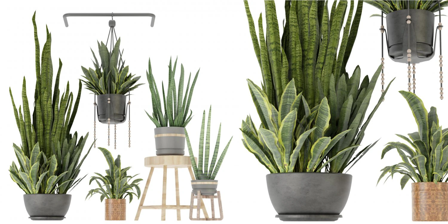 Collection Plant Vol 352- Blender Model 3D Model .c4d .max .obj .3ds .fbx .stl .blend