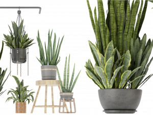Collection Plant Vol 352- Blender Model 3D Model
