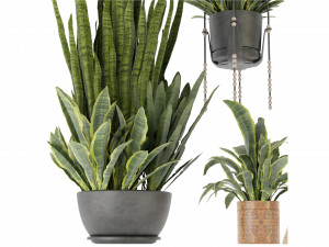 Collection Plant Vol 352- Blender Model Model 3D