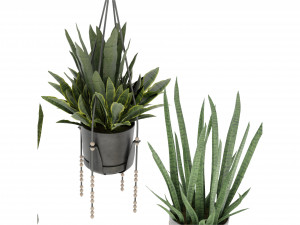 Collection Plant Vol 352- Blender Model Model 3D