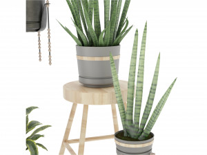 Collection Plant Vol 352- Blender Model Model 3D