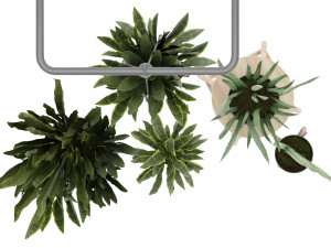 Collection Plant Vol 352- Blender Model Model 3D