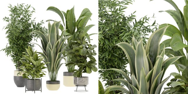 Collection Plant Vol 353- Blender Model Modelo 3D .c4d .max .obj .3ds .fbx .stl .blend 