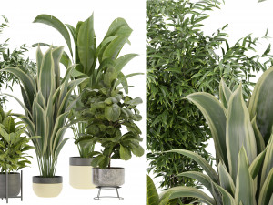 Collection Plant Vol 353- Blender Model 3D Model