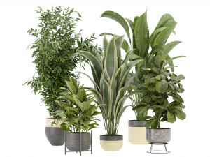 Collection Plant Vol 353- Blender Model Modelo 3D