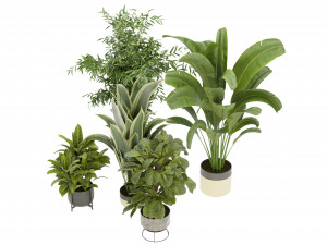 Collection Plant Vol 353- Blender Model Modelo 3D