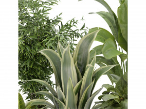 Collection Plant Vol 353- Blender Model Modelo 3D