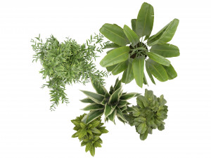 Collection Plant Vol 353- Blender Model Modelo 3D