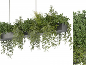 Collection Plant Vol 354 - Blender Model Model 3D