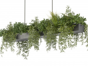 Collection Plant Vol 354 - Blender Model Model 3D