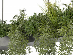 Collection Plant Vol 354 - Blender Model Model 3D