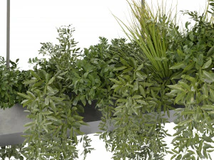 Collection Plant Vol 354 - Blender Model 3D Model