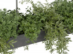 Collection Plant Vol 354 - Blender Model 3D Model