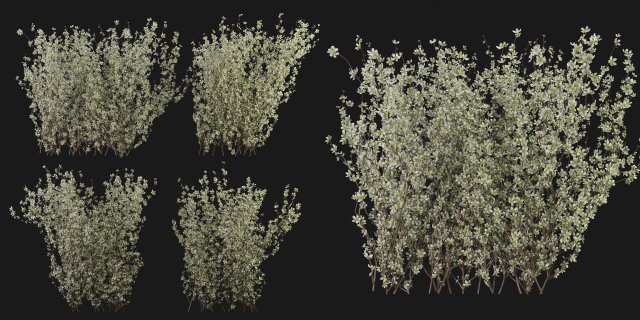 Collection Plant Vol 355 - Blender Model 3Dモデル .c4d .max .obj .3ds .fbx .stl .blend 