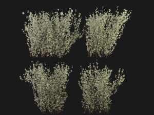 Collection Plant Vol 355 - Blender Model 3Dモデル