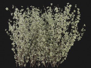 Collection Plant Vol 355 - Blender Model 3Dモデル