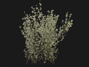 Collection Plant Vol 355 - Blender Model 3Dモデル