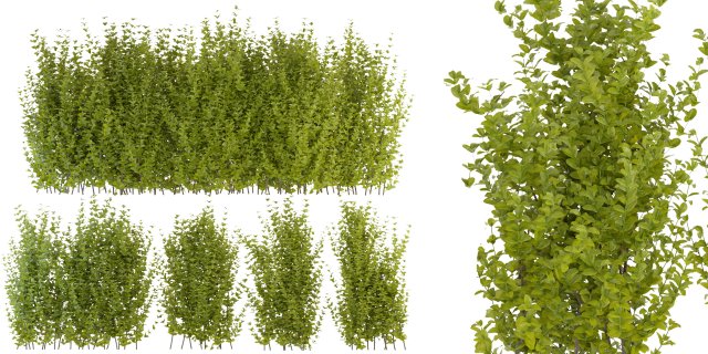 Collection Plant Vol 356 - Blender Model 3D-Modell .c4d .max .obj .3ds .fbx .stl .blend 