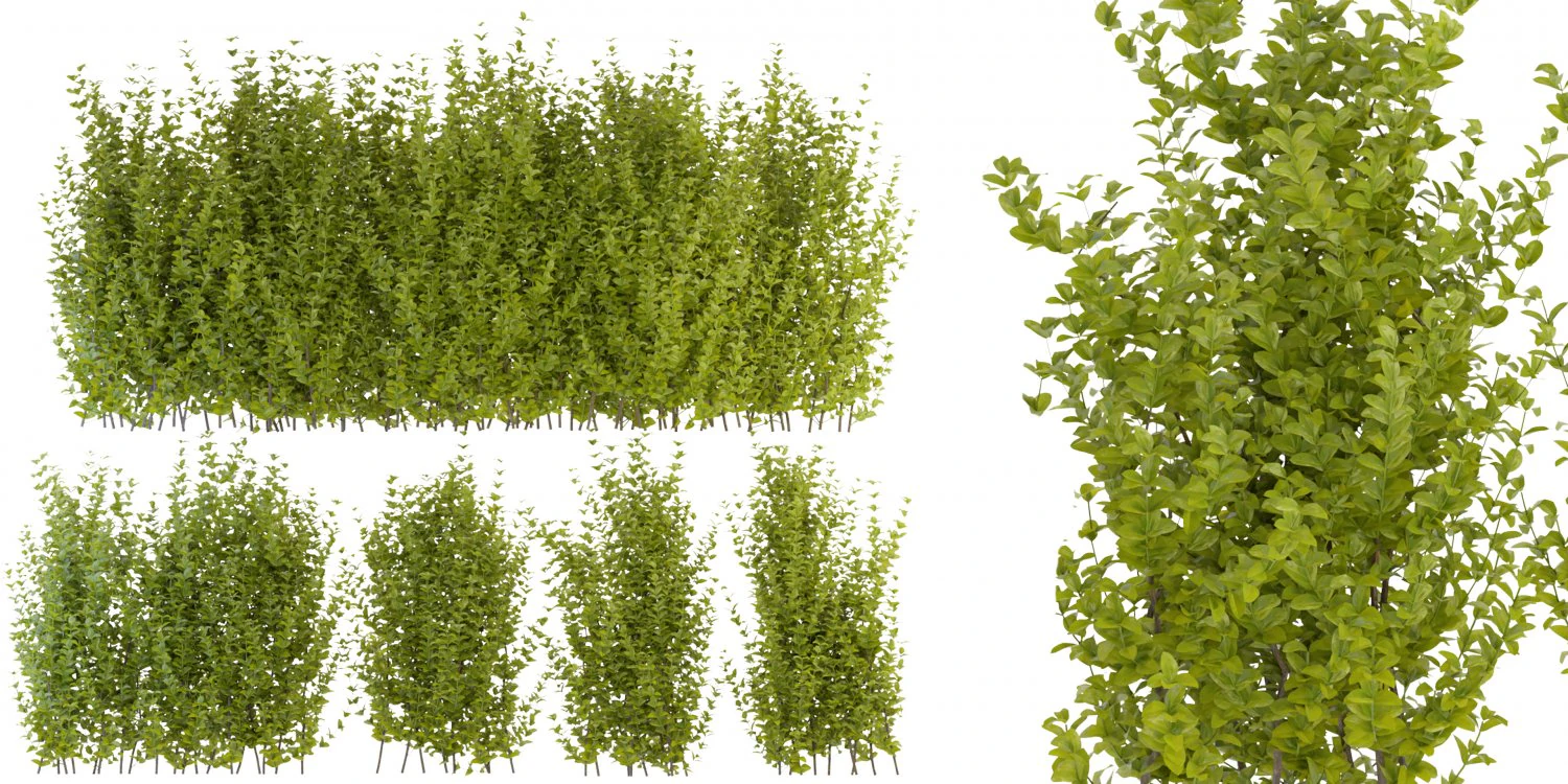 Collection Plant Vol 356 - Blender Model 3D Model .c4d .max .obj .3ds .fbx .stl .blend 