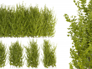 Collection Plant Vol 356 - Blender Model 3D 모델