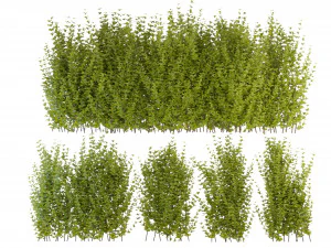 Collection Plant Vol 356 - Blender Model 3D Model