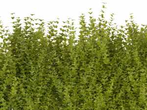 Collection Plant Vol 356 - Blender Model 3D-Modell