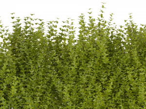 Collection Plant Vol 356 - Blender Model 3D Model