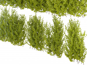 Collection Plant Vol 356 - Blender Model 3D-Modell