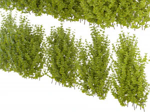 Collection Plant Vol 356 - Blender Model 3D Model