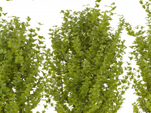 Collection Plant Vol 356 - Blender Model 3D-Modell