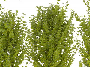 Collection Plant Vol 356 - Blender Model 3D Model