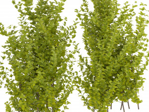 Collection Plant Vol 356 - Blender Model 3D-Modell