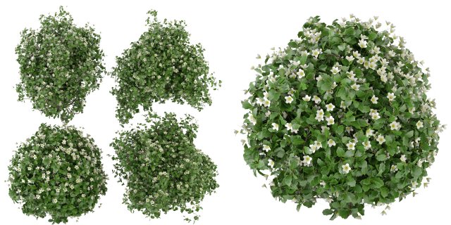 Collection Plant Vol 357- Blender Model Modello 3D .c4d .max .obj .3ds .fbx .stl .blend 
