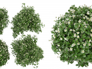 Collection Plant Vol 357- Blender Model 3D Модель
