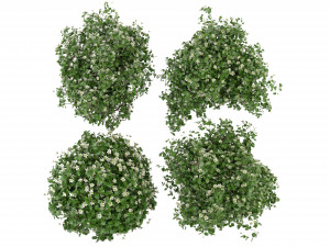 Collection Plant Vol 357- Blender Model Modello 3D